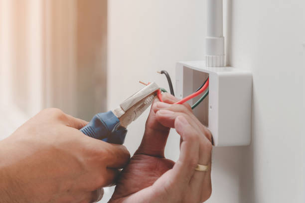 Best Electrical Panel Upgrades  in Crandon, WI